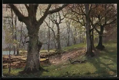 Künstler-AK Wohlgemuth & Lissner, Primus-Postkarte No. 824: der deutsche Wald