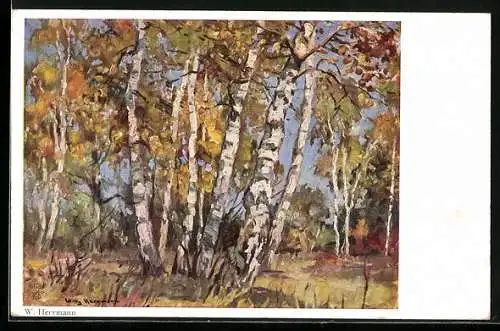 Künstler-AK Wohlgemuth & Lissner, Primus-Postkarte No. 3423: Herbsteinsamkeit, Birken