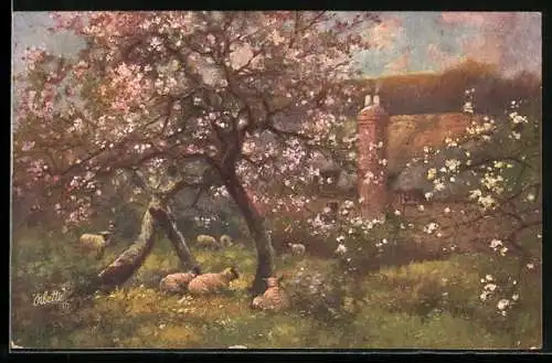 Künstler-AK Wohlgemuth & Lissner, Primus-Postkarte No. 9638: Blütenpracht, Schafe