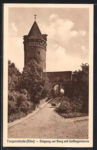 AK Tangermünde /Elbe, Eingang zur Burg mit Gefängnisturm