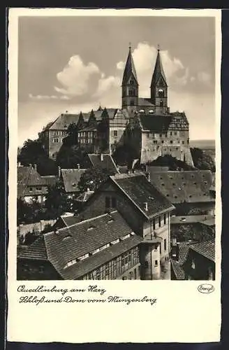 AK Quedlinburg am Harz, Schloss und Dom vom Münzenberg