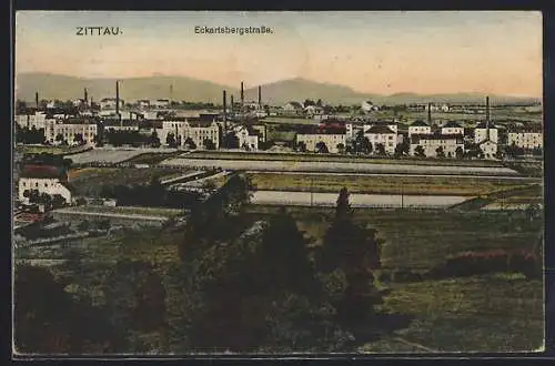 AK Zittau, Ortsansicht mit Eckarsbergstrasse