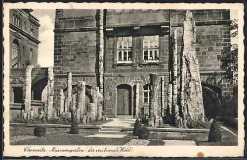 AK Chemnitz, Museumsgarten mit versteinerten Wald