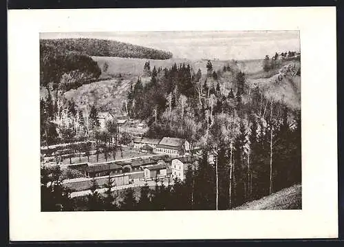 AK Rentzschmühle /Vogtl., Blick auf Bahnhof und Lochhaus