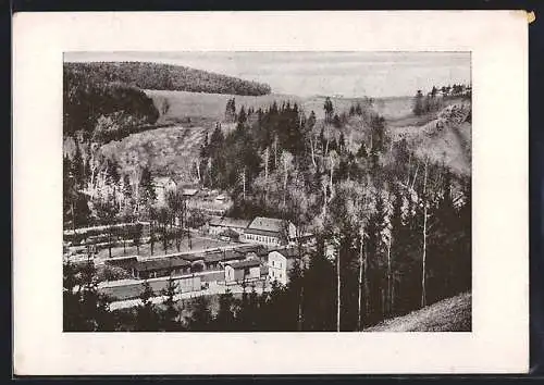 AK Rentzschmühle /Vogtl., Blick auf Bahnhof und Lochhaus