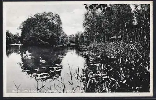 AK Berlin-Wilhelmshagen, Hessenwinkel, Hubertus-See