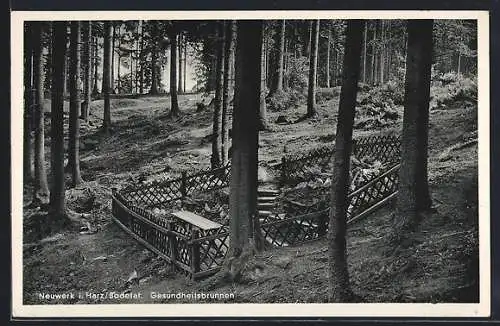 AK Neuwerk i. Harz, Gesundheitsbrunnen