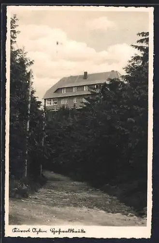 AK Oybin, Hochwaldbaude W. Schade, vom Waldweg gesehen