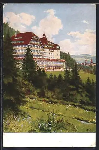 Künstler-AK Freudenstadt /Württ., Schwarzwaldhotel Waldlust