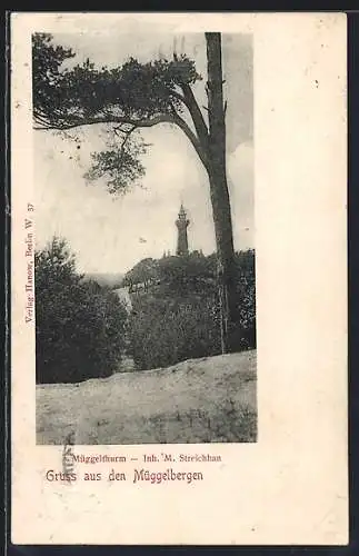 AK Berlin-Köpenick, Müggelberge mit Müggelturm von M. Steichhan