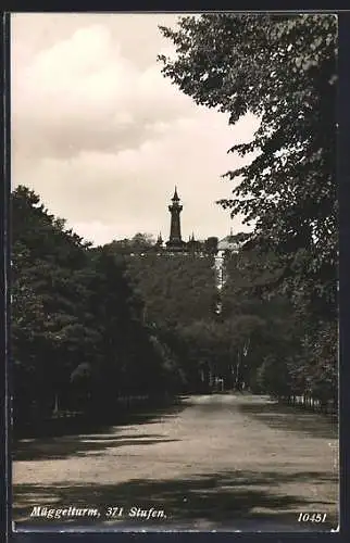 AK Berlin-Köpenick, Müggelturm