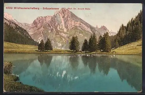 AK Wildhaus-Alt St. Johann, Gräppelensee, Seepartie mit Blick auf den Wildhauserschafberg