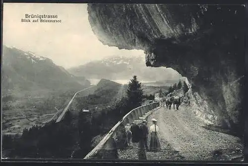 AK Brienz, Brünigstrasse, Blick auf Brienzersee
