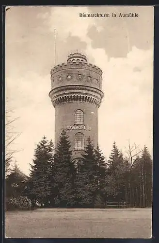 AK Aumühle / Sachsenwald, Bismarckturm mit Bäumen