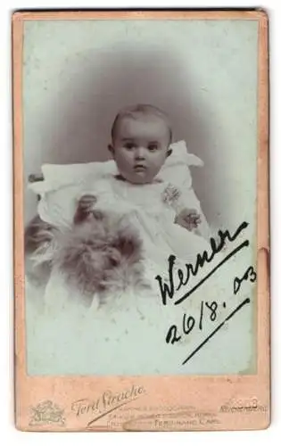 Fotografie Ferd. Strache, Reichenberg, Schützengasse 22, Werner in hellem Kleid auf einem Fell 1903