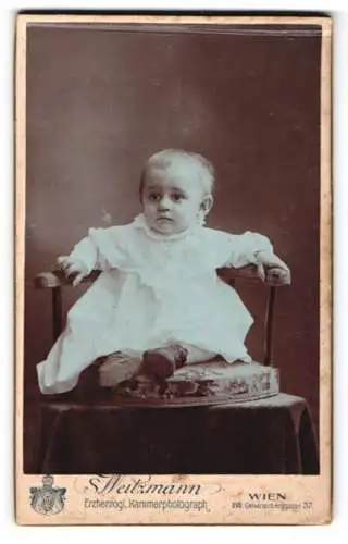 Fotografie S. Weitzmann, Wien, Calvarienberggasse 37, Kleinkind auf Stuhl
