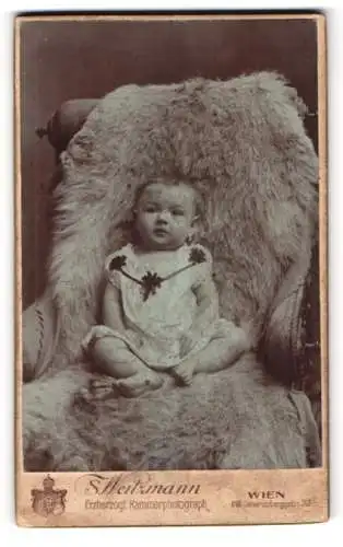 Fotografie S. Weitzmann, Wien, Calvarienberggasse 37, Kleinkind auf Sessel mit Fell