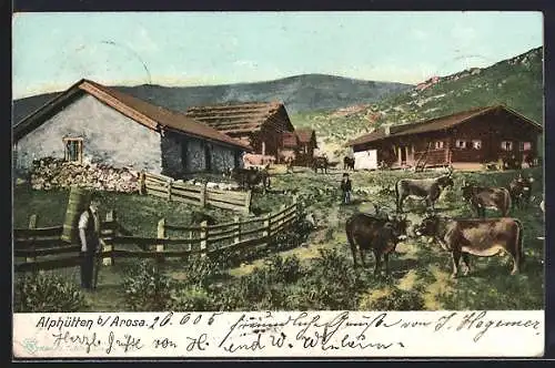 AK Arosa, Alphütten mit Kühen