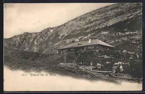 AK Saint-Cergue, Châlet de la Dôle, Panorama mit Kühen