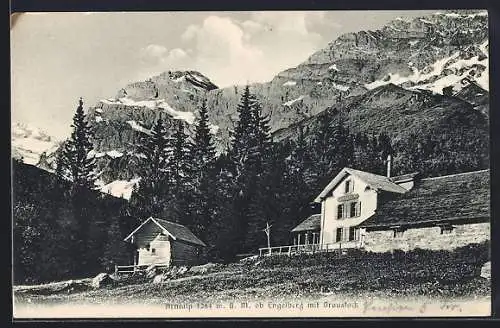 AK Engelberg /OW, Arnialp mit Graustock