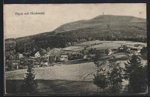 AK Hayn / Oybin, Ortsansicht mit Hochwald und Aussichtsturm