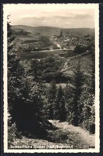 AK Züschen / Hochsauerland, Panorama mit Strassenpartie