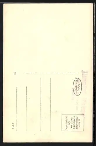 AK Mayrhofen, Gasthof Wiesenhof mit Brandberg-Kolm