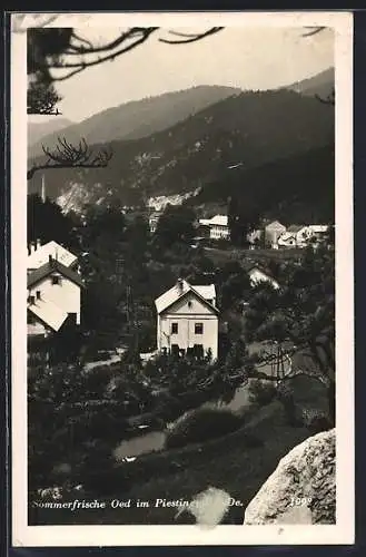 AK Waldegg, Oed im Piestingtal, Teilansicht gegen die Berge