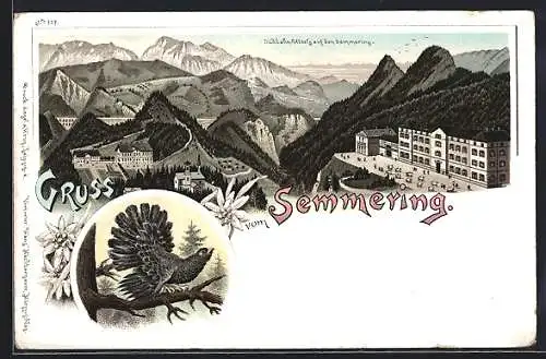 Lithographie Semmering, Südbahn-Hotels, Auerhahn, Edelweiss