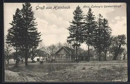 AK Mauerbach /N.-Oe., Hainbuch, Alois Ludweys Gastwirtschaft