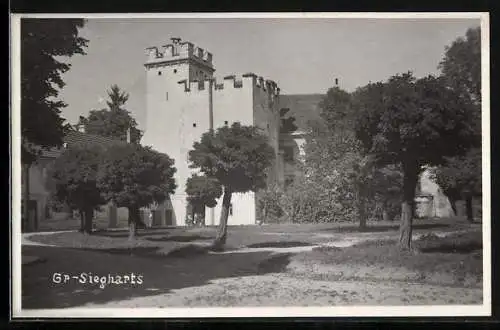 AK Gross-Siegharts, Schloss mit Anlagen