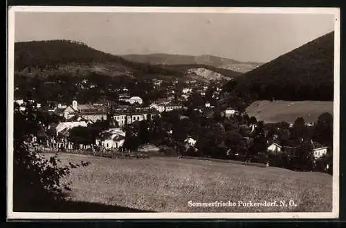 AK Purkersdorf /N.-Ö., Ortsansicht von einer Wiese aus