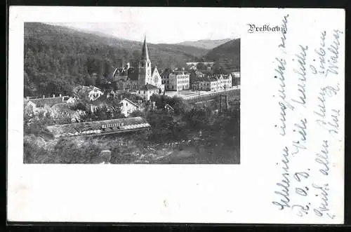 AK Pressbaum, Ortsansicht