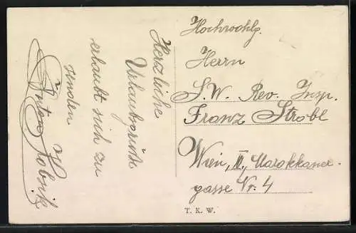 AK Waidhofen a. d. Thaya, Ortsansicht von einem Gewässer aus