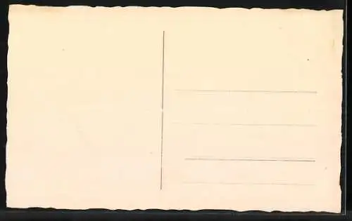 AK Mayrhofen /Tirol, Ortsansicht mit Bergpanorama