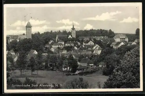 AK Allentsteig, Panoramablick zur Stadt