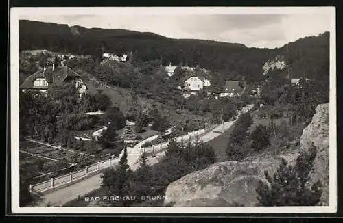 AK Bad Fischau-Brunn, Rosenthal mit Strassenpartie