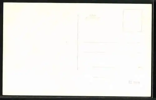 AK Rohrbach /N. Ö., Fliegeraufnahme des Ortes