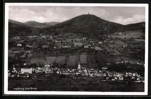 AK Hartberg, Panorama