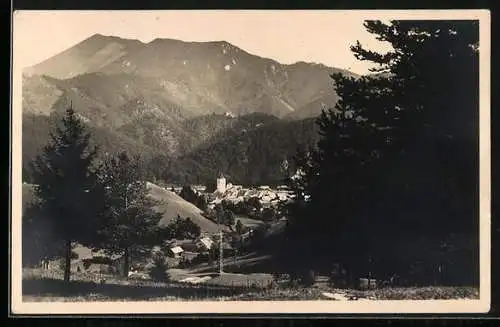 AK Türnitz /N. Oe., Teilansicht mit Bergen