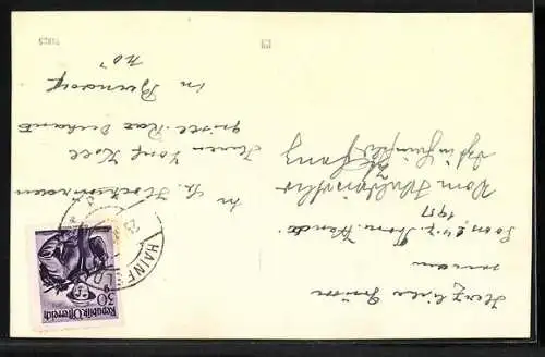 AK Hainfeld /N. Ö., Teilansicht mit Kirche