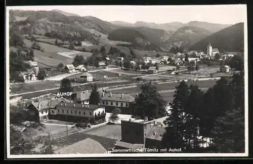AK Türnitz, Ortsansicht mit Auhof