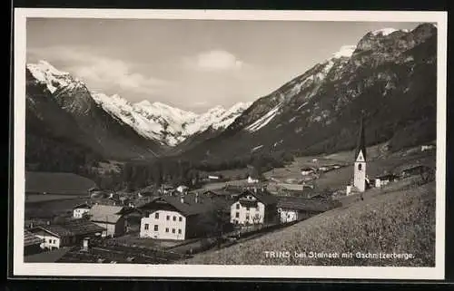 AK Trins bei Steinach, Ortspartie und Gschnitzerberge