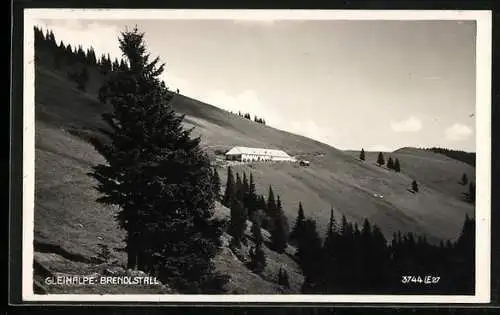 AK Übelbach, Gleinalpe, Brendlstall, Panorama