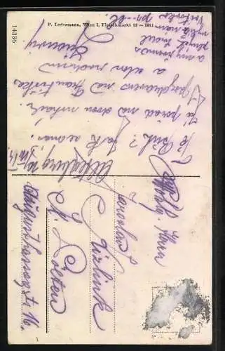 AK Altenberg bei Greifenstein, Kaiser Franz Josef-Jubiläumswarte am Tempelberg