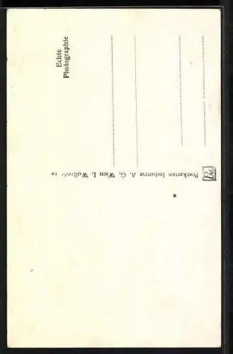 AK Ybbsitz, Holzhaus mit Wasserfall