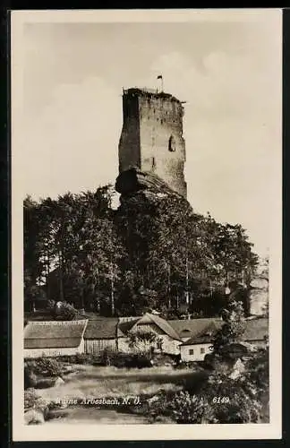 AK Arbesbach /N. Ö., Ruine Arbesbach