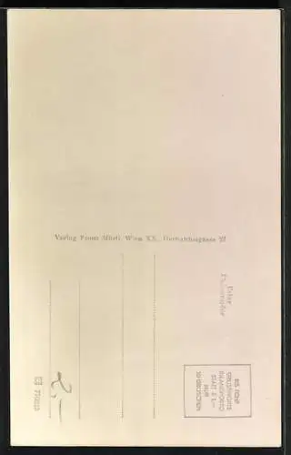 AK Arbesbach /N. Ö., Ruine Arbesbach