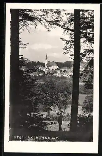 AK Steinakirchen am Forst, Blick aus einem Wäldchen auf den Ort