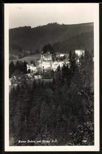 AK Pölla /N.-Oe., Dobra am Kamp, Ruine Dobra